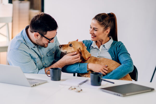 The Advantages of Professional Pet Transportation Over DIY Moves